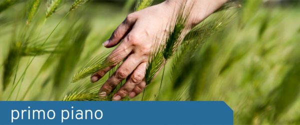 Primo piano